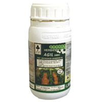 Agil