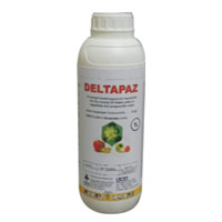 Deltapaz