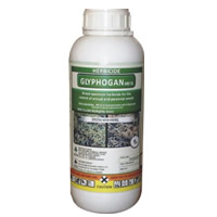 Glyphogan 