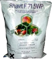 Shavit