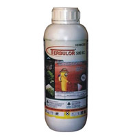 Terbulor