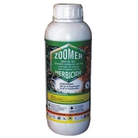 Zoomer