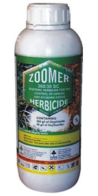 Zoomer