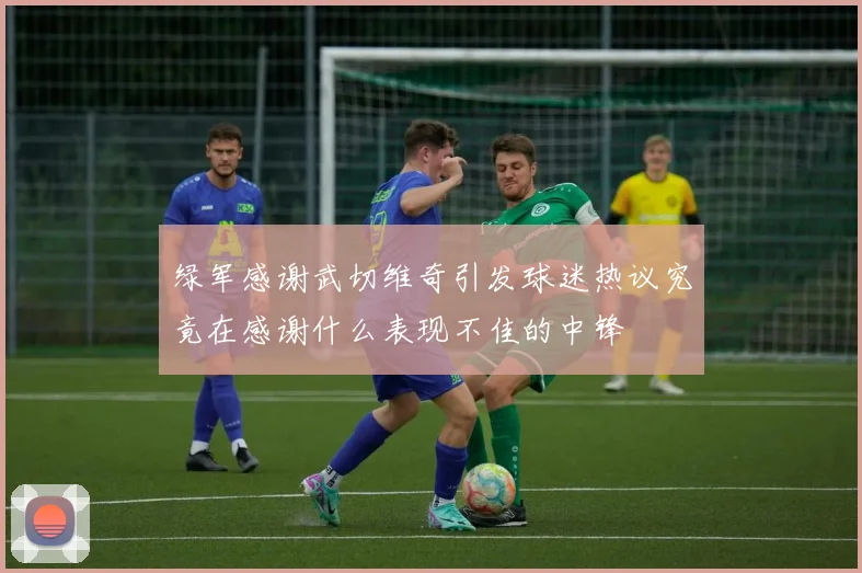 绿军感谢武切维奇引发球迷热议究竟在感谢什么表现不佳的中锋