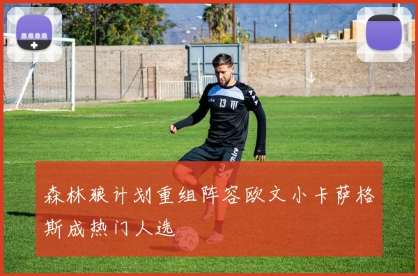 森林狼计划重组阵容欧文小卡萨格斯成热门人选